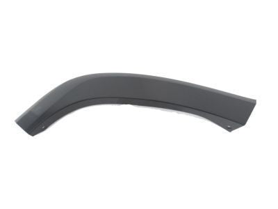 MOULDING, Rear Door, Outside 2010-2024 Toyota 4Runner 7574135902