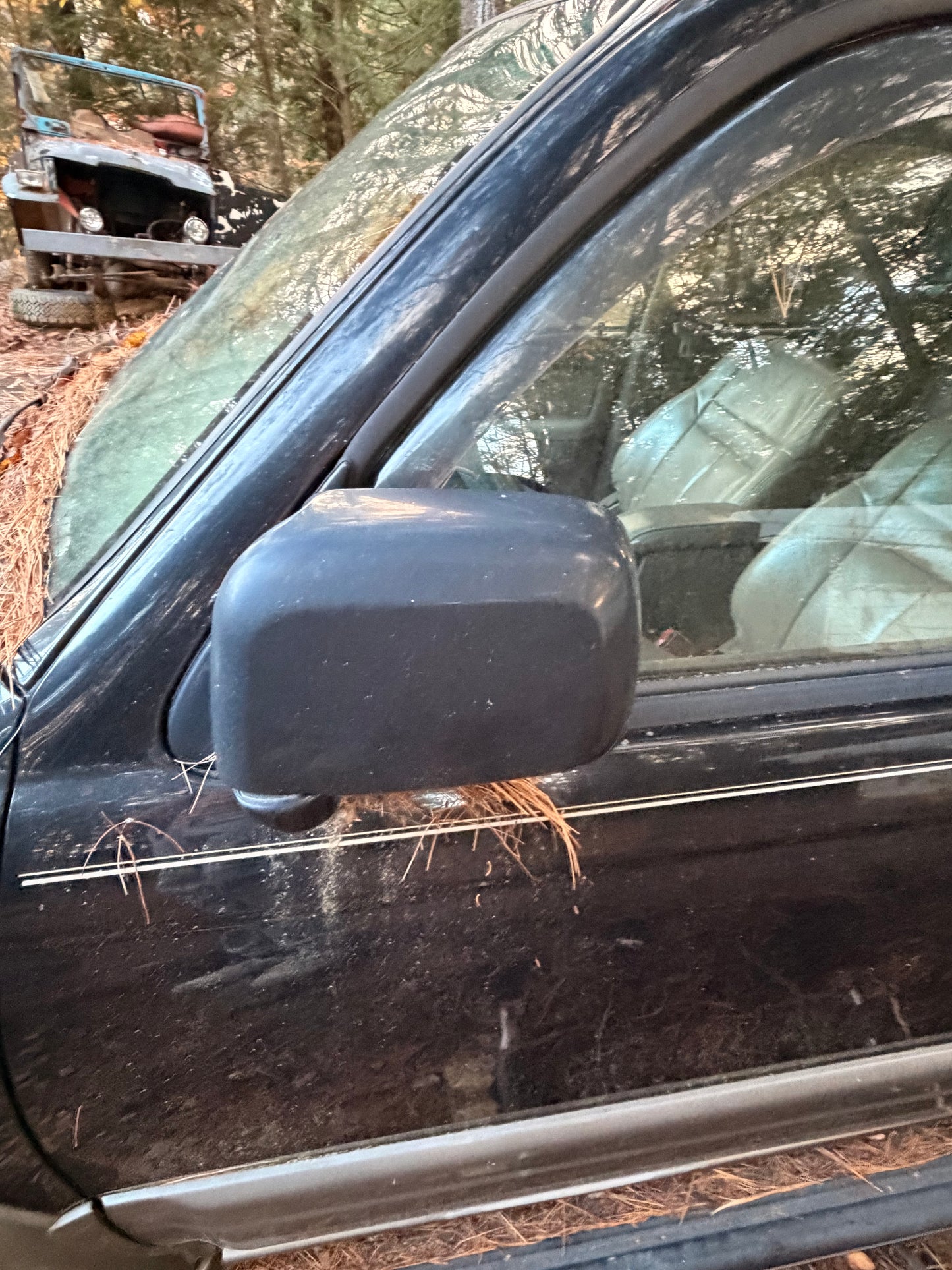 1998 4Runner Left Side Mirror
