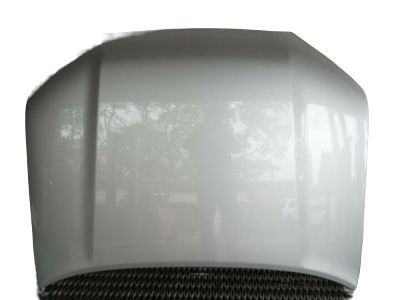 Hood Sub-Assembly 2010-2024 Toyota 4Runner 5330135200