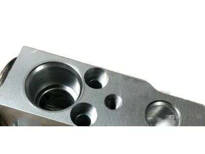 Valve Assy-Expansion 2004-2019 Nissan 922005Z010