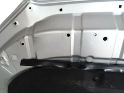 Hood Sub-Assembly 2010-2024 Toyota 4Runner 5330135200