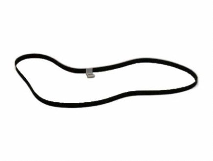 2006 Nissan Armada Fan and Alternator Belt