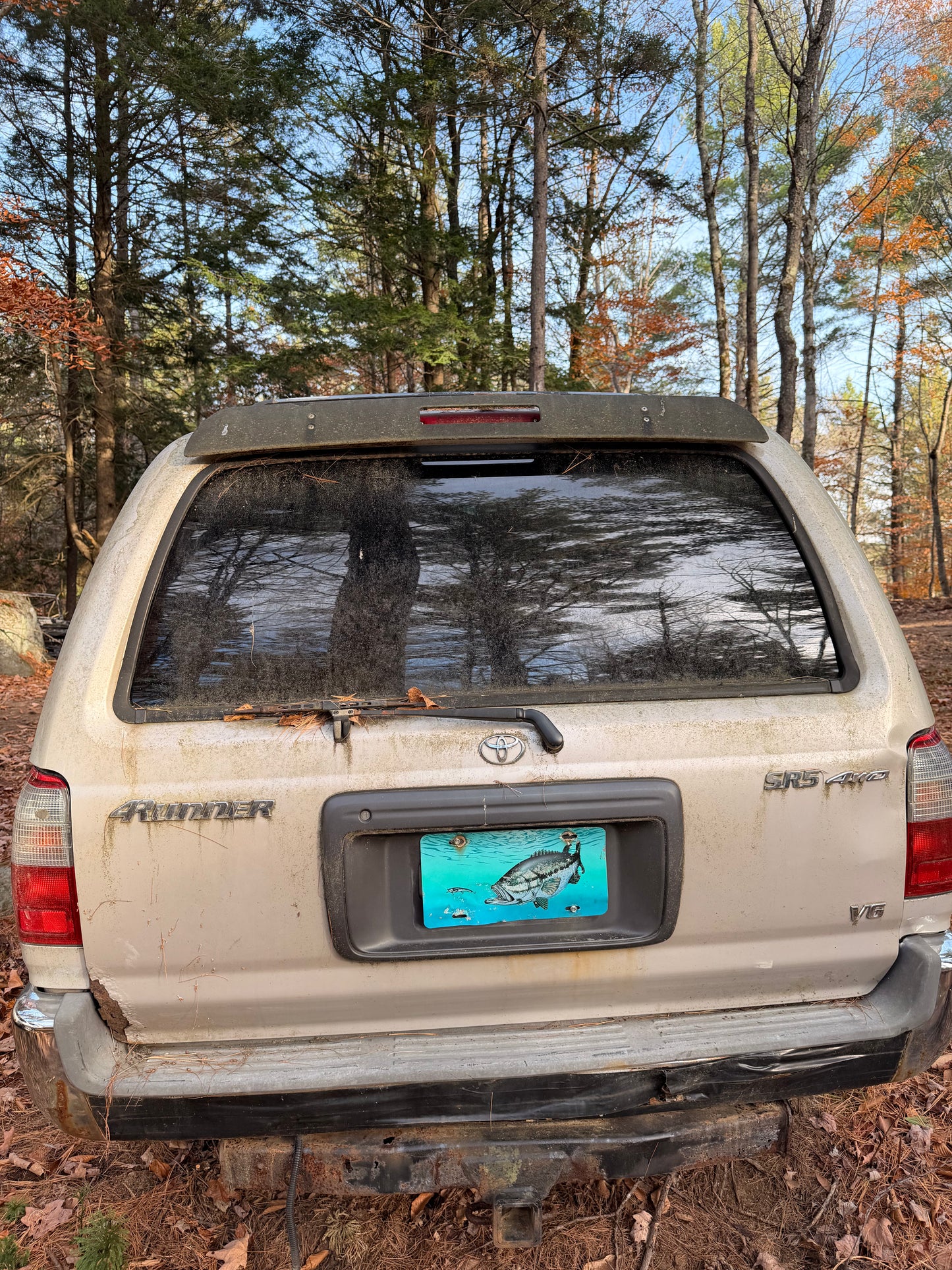 2001 4Runner Rear Spoiler