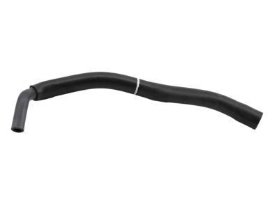 Hose, Ventilation 2000-2004 Toyota 1226262060