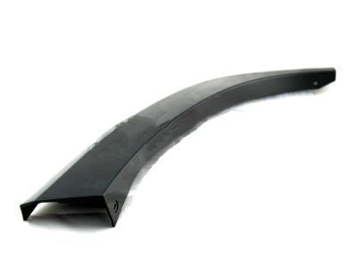 MOULDING, Rear Door, Outside 2010-2024 Toyota 4Runner 7574235902