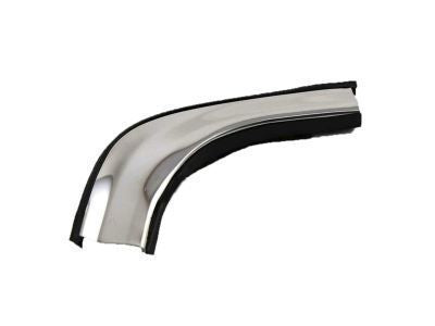 MOULDING, Rear Door, Outside 2013-2024 Toyota 4Runner 7574135901